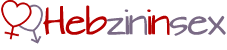 logo hebzininsex