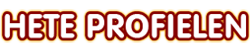 logo hete-profielen